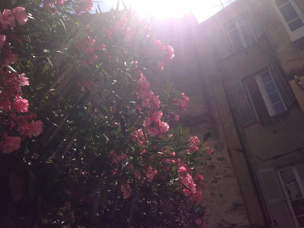 Chanteclair Cannes Dış mekan fotoğraf