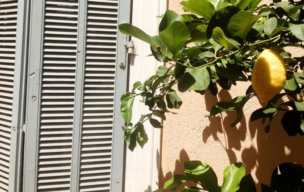 Chanteclair Cannes Dış mekan fotoğraf
